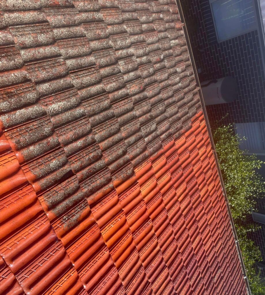 Is a Colorbond roof better than tiles?