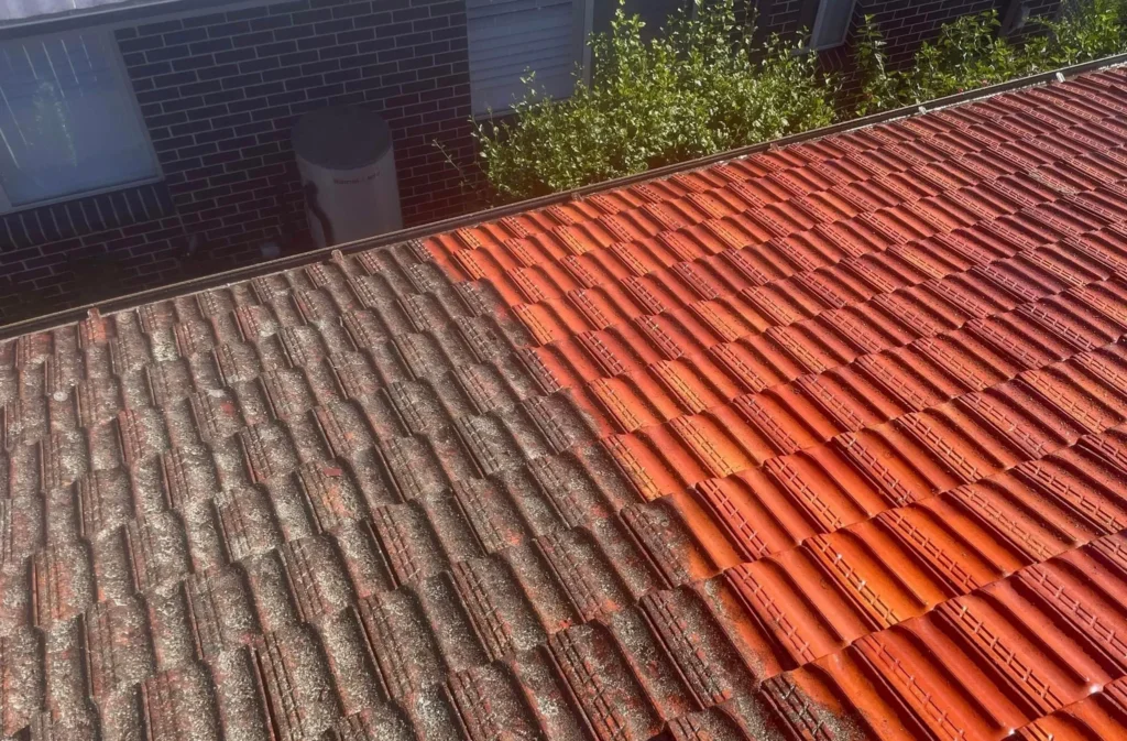 Clean Roof Tiles