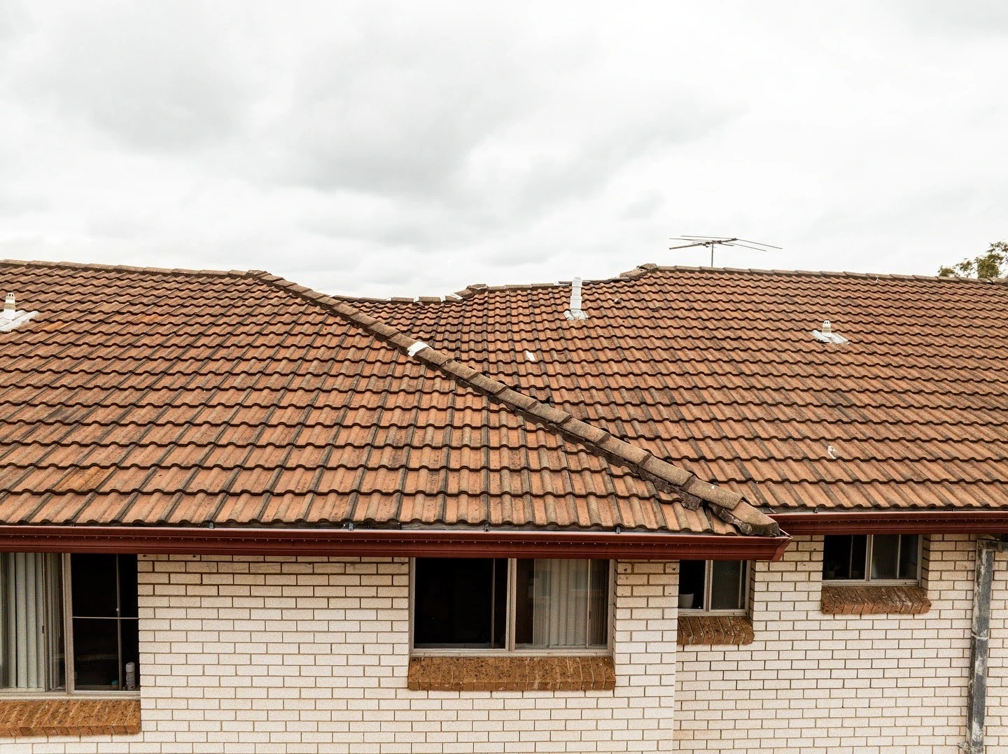 Roof rebedding work in progress showing scaffolding and gutter installation on Sydney home.