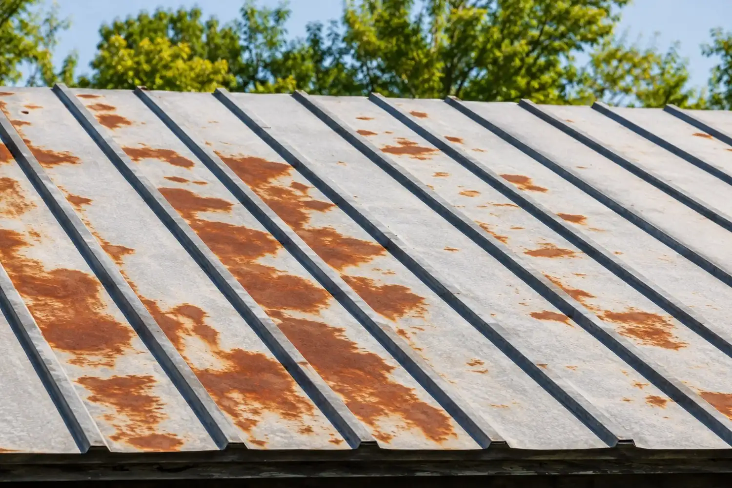 Rusty metal roof showing extensive corrosion, needing urgent repairs from roofing contractors in Sydney.